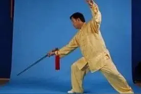 陈正雷老师陈氏太极单剑(图文)教程：第三十二式 海底捞月图片