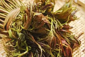 最奇怪的几种蔬菜，有人喜欢有人却吃吐了，全吃过的称一声：大神图片