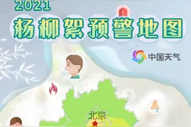 高能预警！临沂进入柳絮飘飞期！出行需谨慎图片