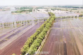 宽城区兰家镇：农村人居环境整治存在的困难与对策应对图片