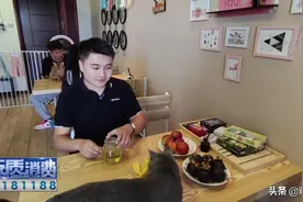 撸猫好去处！这家店不单猫猫可爱，果茶也好喝图片