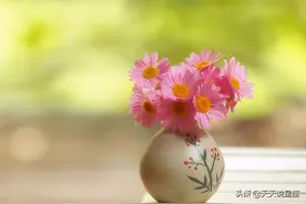 聪明能干，还很有实力，内心强大，比男人还优秀的三个星座女图片