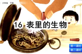 部编语文六年级下册16课《表里的生物》知识点+图文解读+课堂测试图片