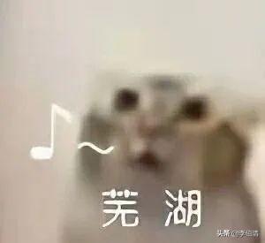 听四川人念英文品牌名，要笑到打鸣