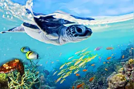 嗯哼逛摄影展好奇心爆棚，给娃看这几部动物纪录片，有趣又涨知识图片