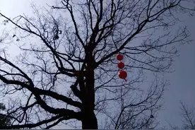 三个农村漂亮女孩，嫁给了比她们年龄大很多的有钱男人图片