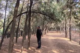前年刚结束用蜡烛照明的他，自比为“神秘岛”鲁滨逊，岛外的村民：黑灯瞎火的，他图啥图片