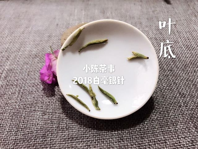 白毫银针，到底有什么好呢？三分钟帮你理清它的奥秘！