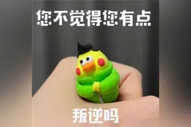 表情包：再也不做舔狗了图片