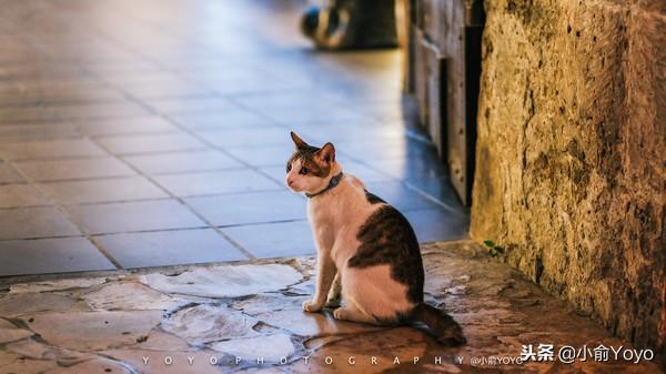菲律宾｜逃离冷冷的冬天飞去热带的岛屿享受阳光与海滩