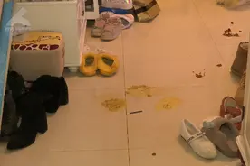 昆明一小区20多只狗接连暴毙！呕吐 抽搐 惨叫后身亡 主人痛哭抱着尸体不愿撒手图片