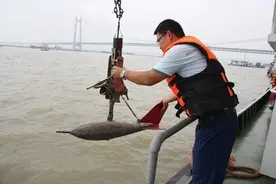 江水常相伴 风口浪尖行 ——记全国先进工作者、长江委长江工会副主席（兼）、水文中游局副局长罗兴图片