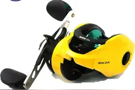 性价比最高的路亚轮子（水滴，纺车都有）推荐图片