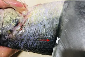 清蒸鲈鱼用料酒去腥就错了，记住“去腥3招”，鱼肉鲜嫩没有腥味图片