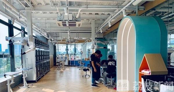 用领养代替购买，看看这家七层楼的巨无霸宠物店什么样？