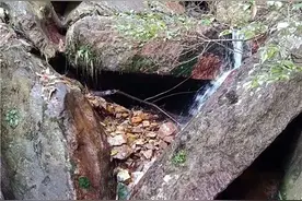 千姿百态的武冈里仁天子山仙人桥图片