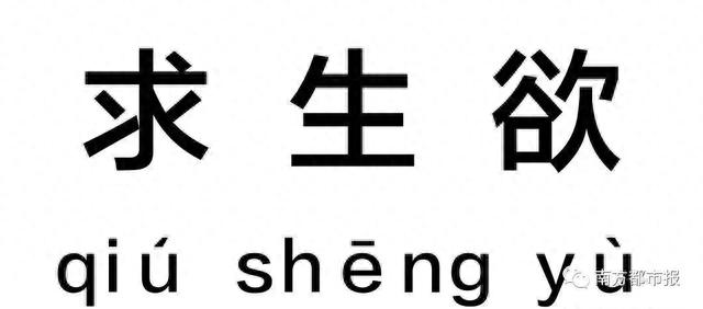 国美易卡逾期3天了，国美易卡逾期3天了怎么办 配图03