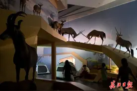 博物馆奇妙夜丨图集图片