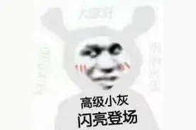 彩色表情包｜高级小灰，闪亮登场，多多关照图片