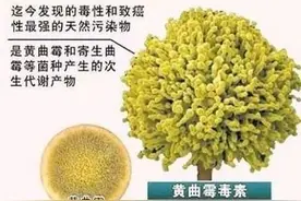 东北“酸汤子”中毒的事儿里，我们应该学到的日常食品安全知识图片