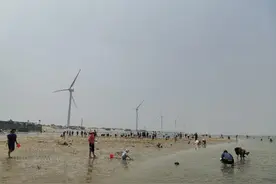 周末，莱州赶海，人真的很多！图片