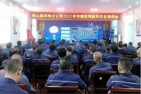 岐山供电分公司开展驾驶员安全技能培训图片