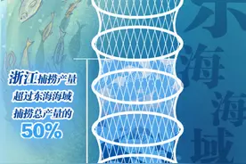既盼丰收，又护海洋！开渔节让“海的味道”更浓烈图片