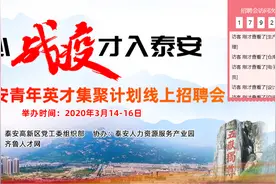 平均薪酬6.3k，2020泰安“青年英才集聚计划”线上招聘会成功举办图片
