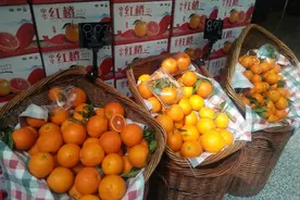 疫情无情人有情 中华红橙显真情图片