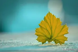 当被别人瞧不起时，这样处理才是聪明图片