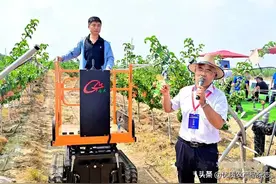 果园里有了新式“武器”图片