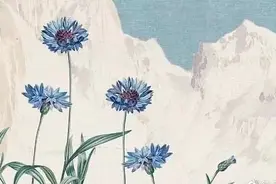 8个惊艳的教育故事图片