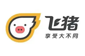 四年换三帅，身处阿里边缘的飞猪难摆“迷途”？图片