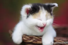 路易丝·海《生命的重建（实践篇）》（第六章 上瘾）阅读感受图片