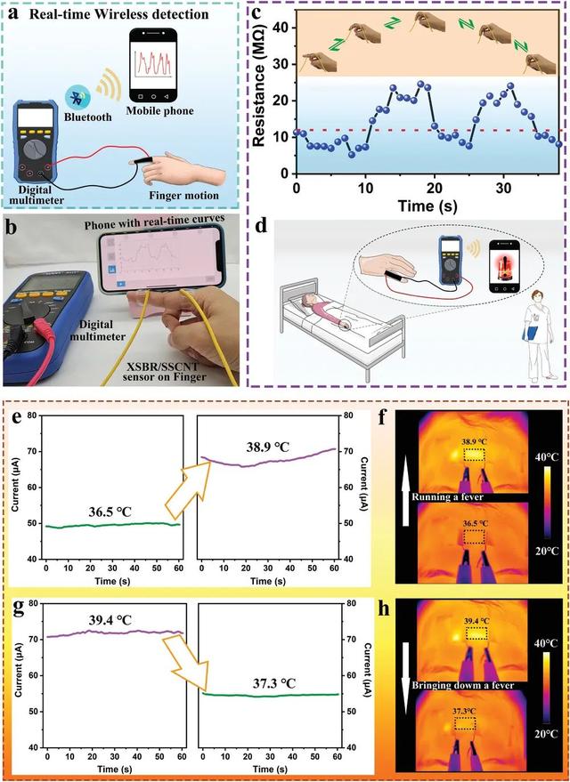 高性能、灵敏、可穿戴多功能传感器，用于人体运动和皮肤温度检测