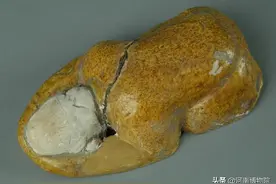 我来教你什么是“五体投地”图片