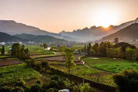 时评：用“心”至深，“知心话”饱含深厚为民情怀图片