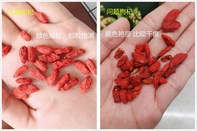 买枸杞，小心“掺假”，记3个妙招，轻松避开“问题”枸杞