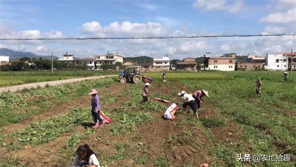 鍥犲瘜鍚姳闈掔礌锛?骞村墠涓€鏂?鍏冧笉鎰佸崠锛屽浠婂嵈楗卞彈鍚愭Ы锛屾拨涓鸿壊绱? onerror=