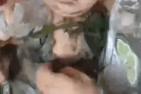 宝宝躺婴儿车睡觉，转眼被风吹进田里，画面不忍直视，心疼又好笑图片