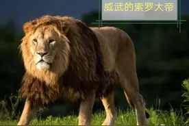 对生活的妥协，并没有换来苟且。索罗大帝只换来了一个凄凉的结局图片