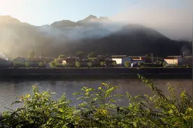 农村俗语：“夜猫不进无病家，燕子不入苦寒门”，为啥？在理吗？图片