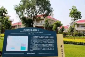 堪比华西村的沂蒙第一村，全村仅2400余人，却建有589座别墅图片