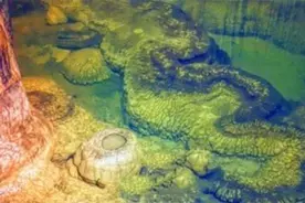 湖南一山洞发现“真龙”，当地人不敢靠近，专家：至少存在上亿年图片