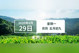 深圳治堵“出大招”！龙岗大道将试点打造公交信号优先走廊 | 早安，龙岗图片