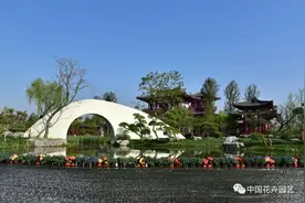 扬州园：“月桥广陵”的诗意园林 |“扬州世园会”专题图片