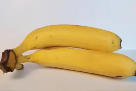 小男孩割包皮居民医保给报销了图片