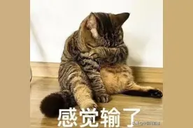 广东率先支付宝扫码乘火车，全国网友都柠檬了：凭什么又是广东？图片