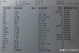 教你如何看懂血常规图片