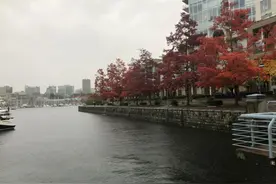 温哥华的雨季图片